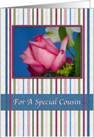 Birthday, Cousin, Red Rose, Stripes card