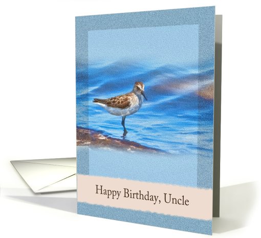 Birthday, Uncle, Sanderling Bird card (695748)