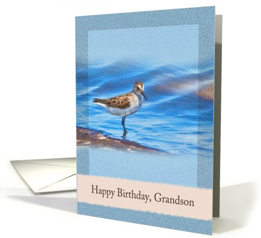 Birthday, Grandson, Sanderling Bird card (695758)