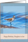 Birthday, Daughter-in-law, Sanderling Bird card