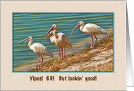 Birthday, 69th, Ibises card