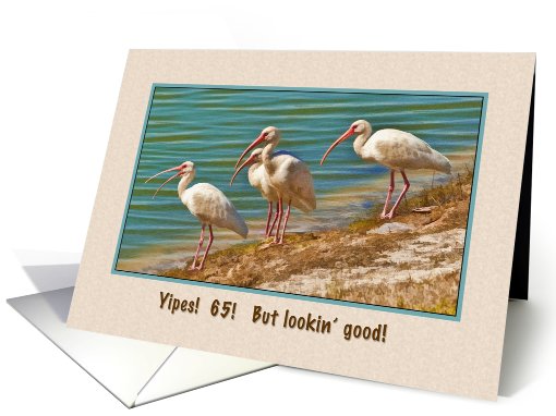 Birthday, 65th, Ibises card (710257)