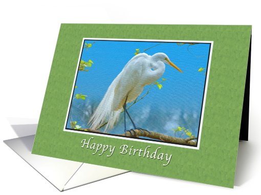 Birthday, Religious, Great Egret Bird card (710399)