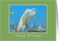 Birthday, Religious, Great Egret Bird card