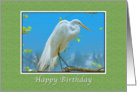 Birthday, Religious, Great Egret Bird card