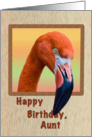 Birthday, Aunt, American Flamingo card