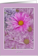 Grazie, Italian, Thank You, Gerbera Daisies card