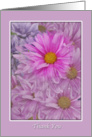 Thank You, Gerbera Daisies, Pink and Lavender card