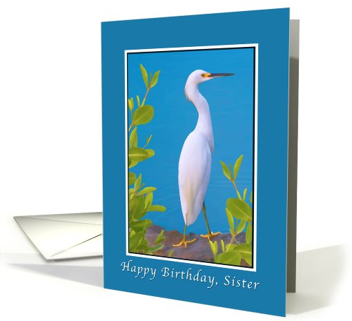 Birthday, Sister, Snowy Egret Bird card (723841)