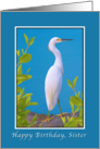 Birthday, Sister, Snowy Egret Bird card