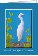 Birthday, Great Grandmother, Snowy Egret Bird card