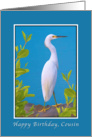 Birthday, Cousin, Snowy Egret Bird card