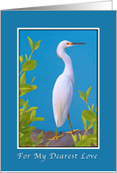 Birthday, Lover, Snowy Egret Bird card