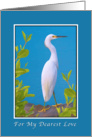 Birthday, Lover, Snowy Egret Bird card