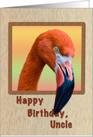 Birthday, Uncle, Flamingo Bird card