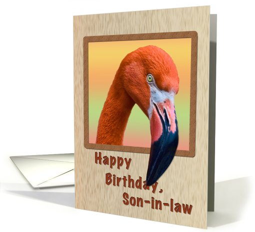Birthday, Son-in-law, Flamingo Bird card (724513)