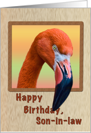 Birthday, Son-in-law, Flamingo Bird card
