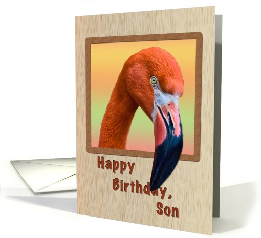 Birthday, Son, Flamingo Bird card (724514)