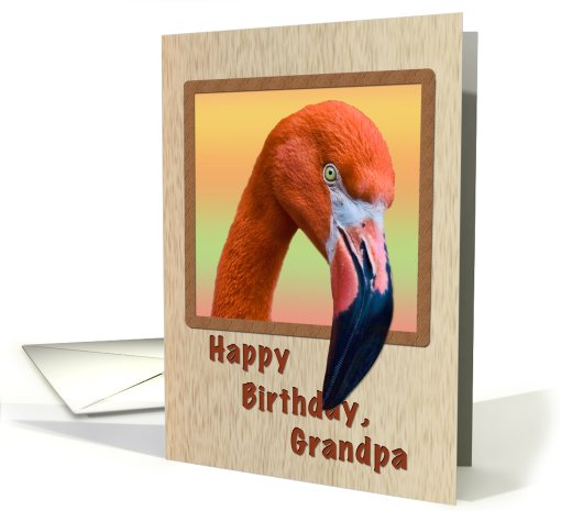 Birthday, Grandpa, Flamingo Bird card (724518)