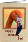 Birthday, Dad, Flamingo Bird card
