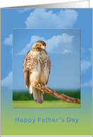 Father’s Day, Rough Legged Hawk Bird card