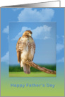 Father’s Day, Rough Legged Hawk Bird card