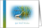 Get Well Wishes, Great Egret at a Pond card