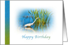 Birthday, Great Egret at a Pond card