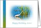 Birthday, Sister, Great Egret at a Pond card