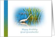 Birthday, Great Grandmother, Great Egret at a Pond card