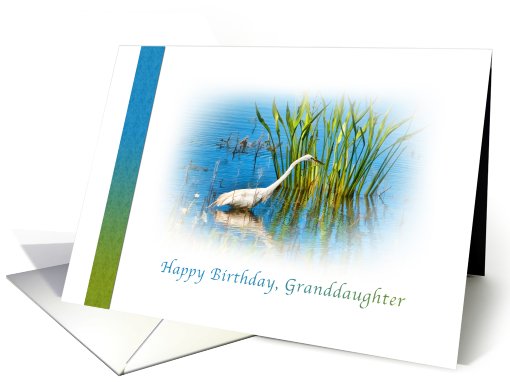 Birthday, Granddaughter, Great Egret at a Pond card (756854)