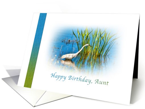 Birthday, Aunt, Great Egret at a Pond card (756863)