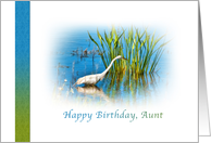 Birthday, Aunt, Great Egret at a Pond card