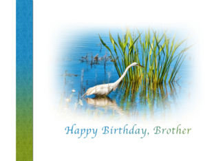 Birthday, Brother,...