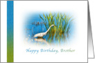 Birthday, Brother, Great Egret at a Pond card