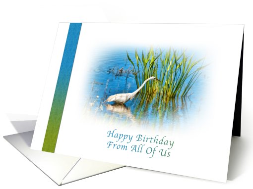 Birthday, From Group, Great Egret at a Pond card (756866)