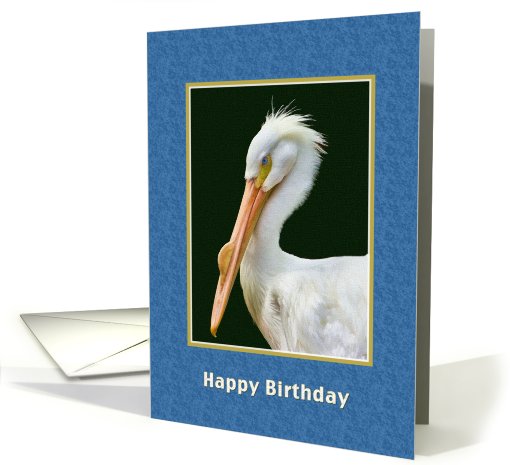 Birthday, American White Pelican Bird card (757411)
