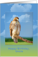 Birthday, Uncle, Rough Legged Hawk card