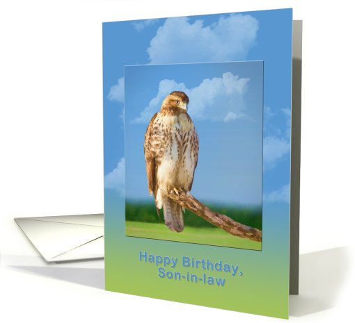 Birthday, Son-in-law, Rough Legged Hawk card (761127)