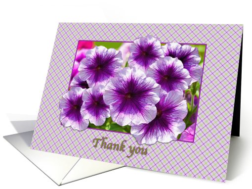 Thank You, Purple and White Petunias card (767465)