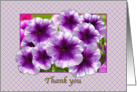 Thank You, Purple and White Petunias card
