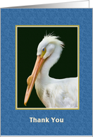 Thank You, White Pelican Bird card