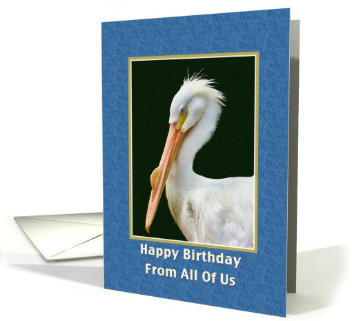 Birthday, From All of Us, White Pelican Bird card (771118)