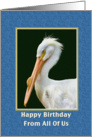 Birthday, From All of Us, White Pelican Bird card