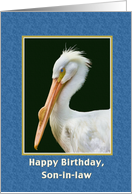 Birthday, Son-in-law, White Pelican Bird card