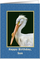 Birthday, Son, White Pelican Bird card