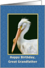 Birthday, Great Grandfather, White Pelican Bird card