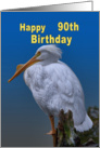 Birthday, 90th, White Pelican card