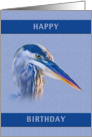 Birthday, Great Blue Heron card
