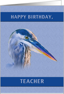 Birthday, Teacher, Great Blue Heron card